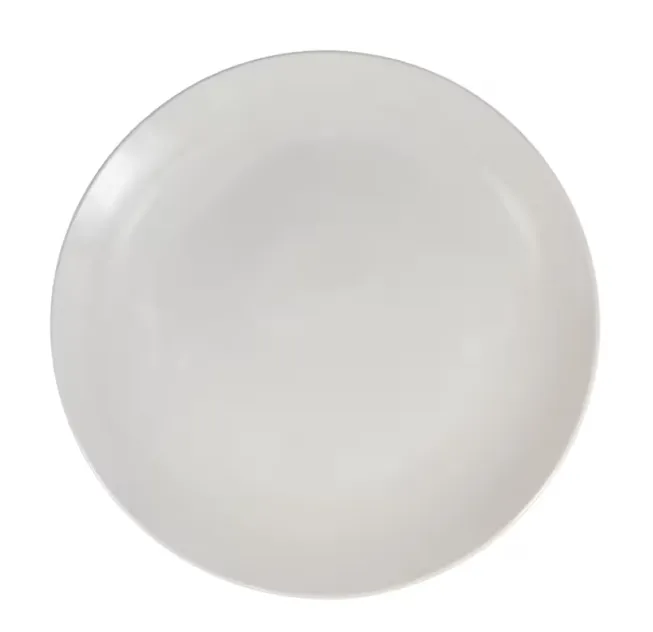 White classic Dinner Plate 10.5- in.