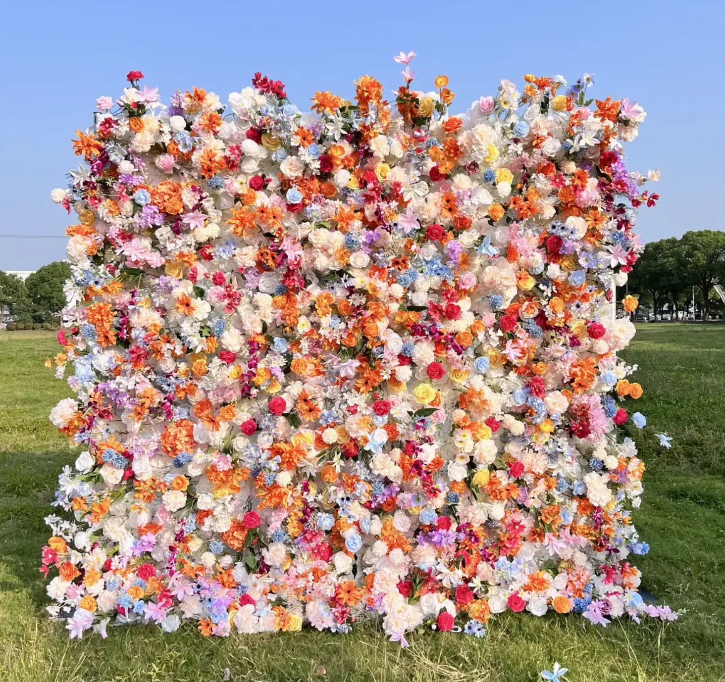 Multicolor Garden Flowers