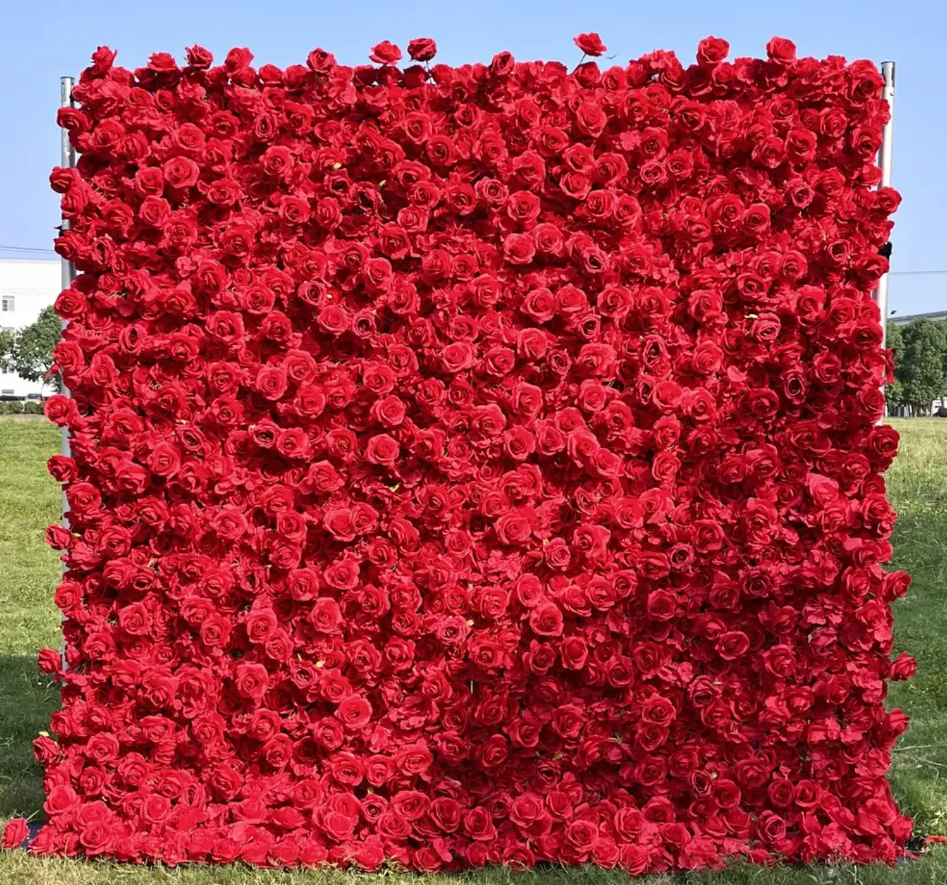 Red Flower Wall