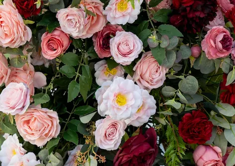Burgundy and Pink Flower Balls