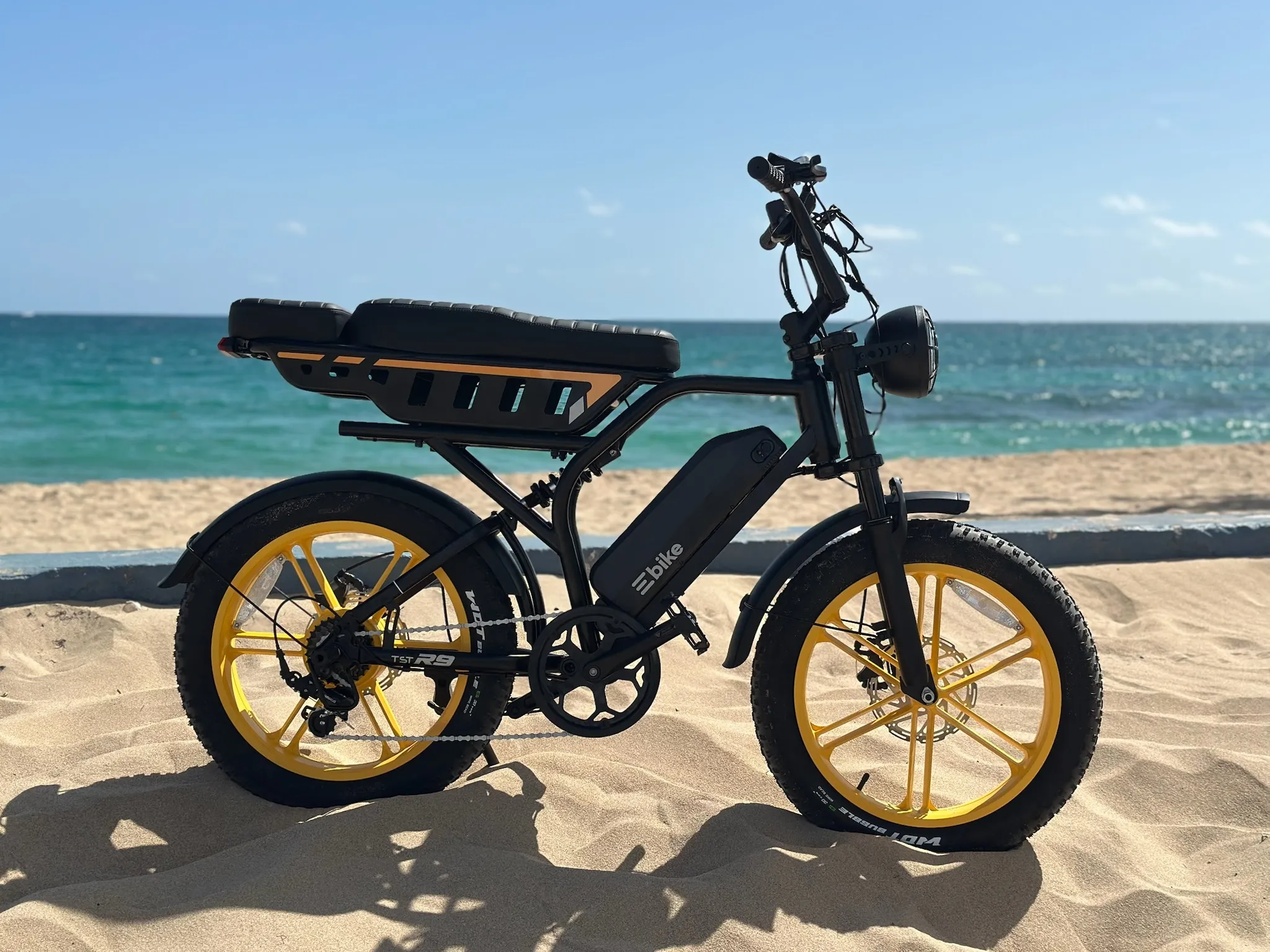 Electric Bike