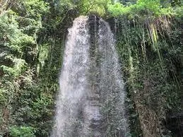 Asenema Waterfall Adventure