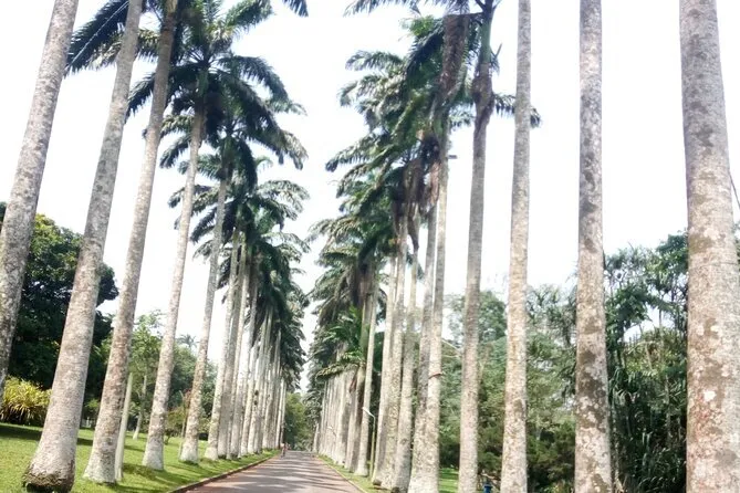 Aburi Botanical Gardens & Boti Falls Adventure