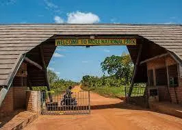 Tamale City Tour & Safari (Mole National Park)