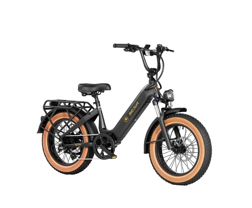 20" E-Bike (S,M,L)