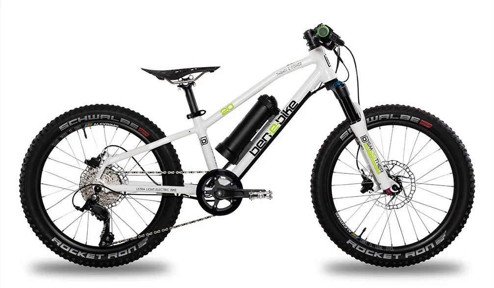 20" E-Bike 