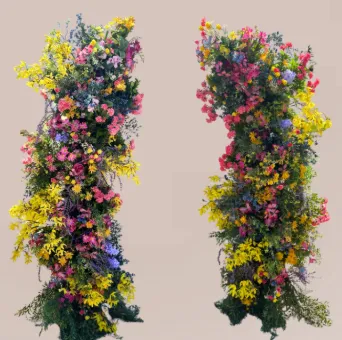 Wild Flower Broken arch