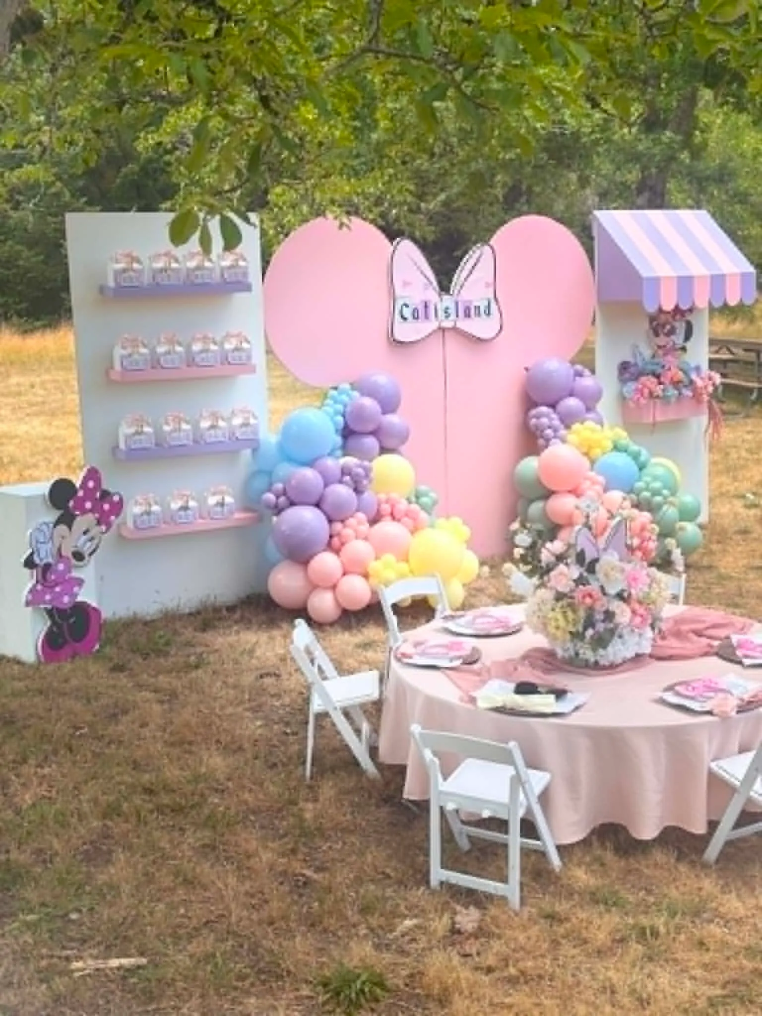 Minnie Mouse Bundle