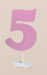 Number 5