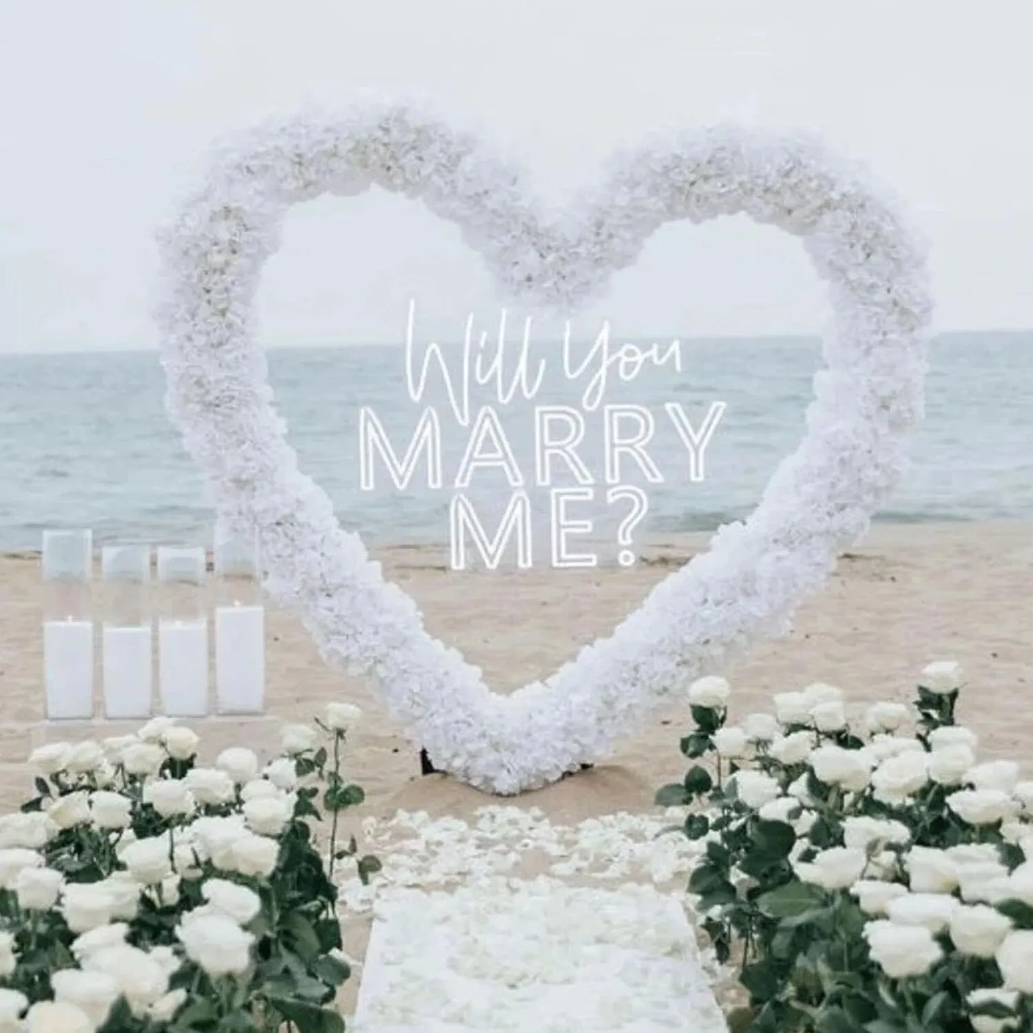 Will you marry me neon sign large 