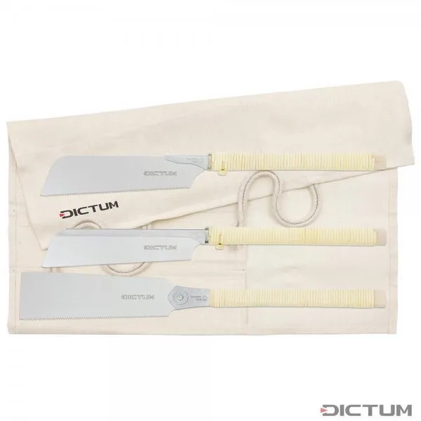 DICTUM® Sägen-Set – 3-teilig