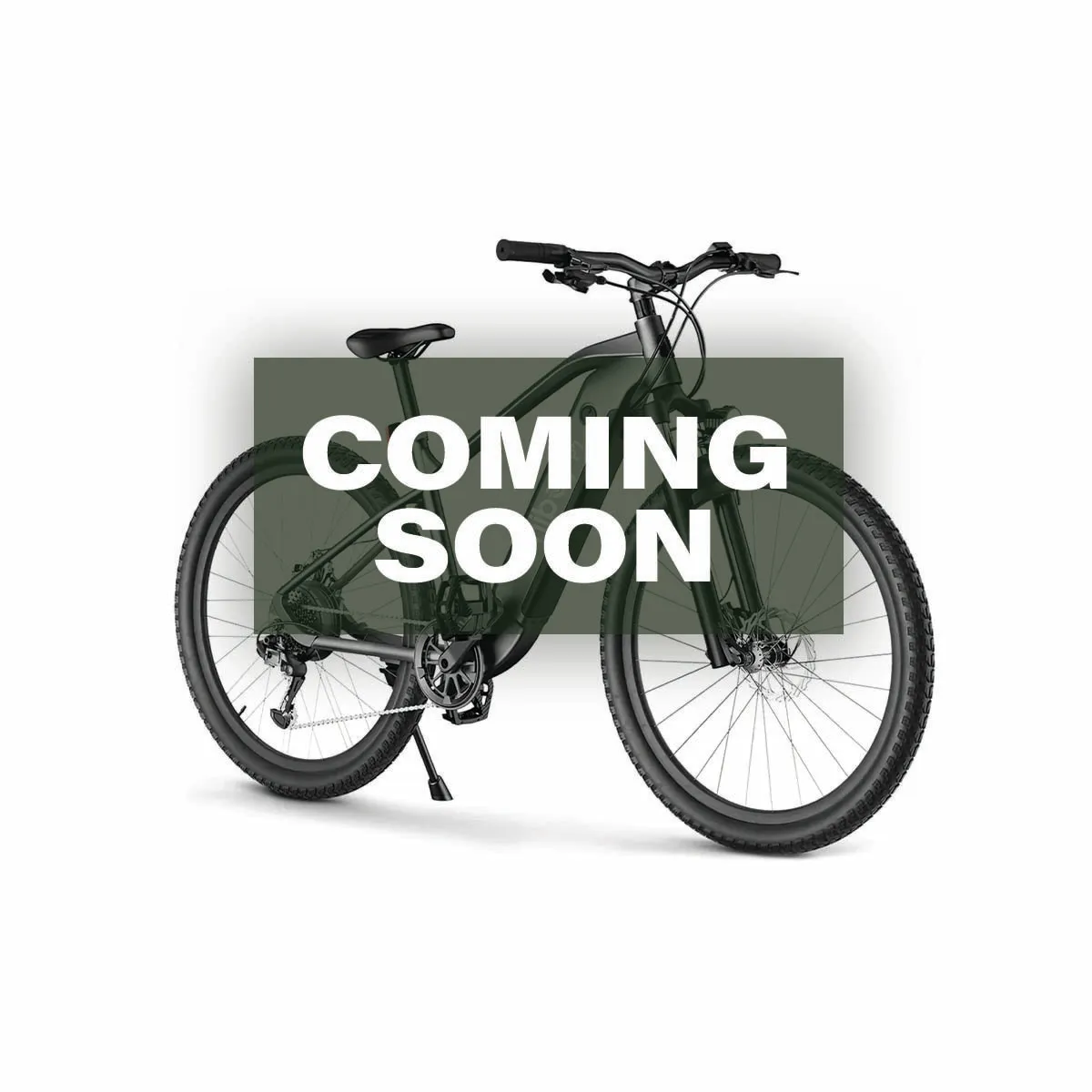 Electric Bicycle