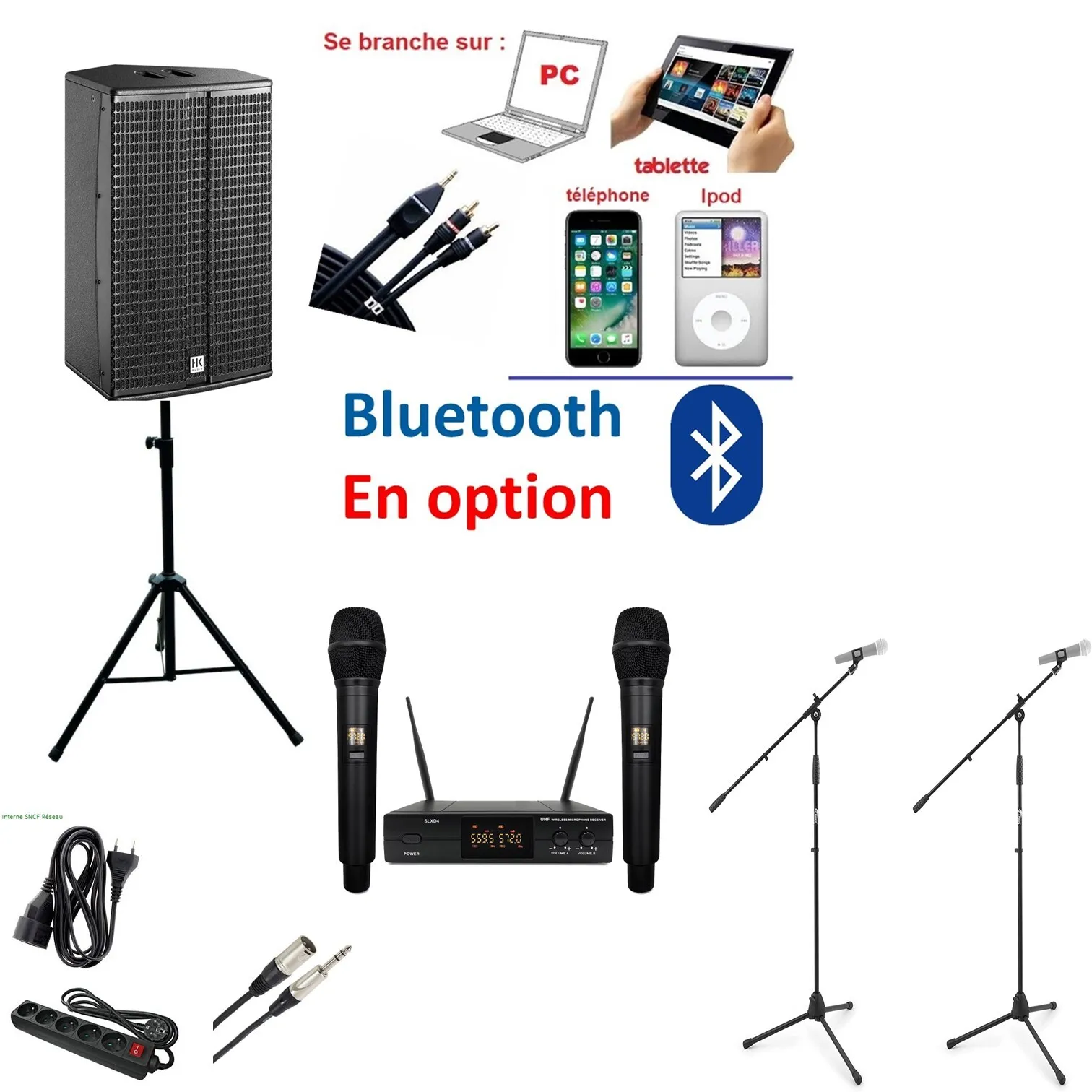 Karaoké BASIQUE - 2 Micros + Sonorisation  50  Personnes   - SANS Projection