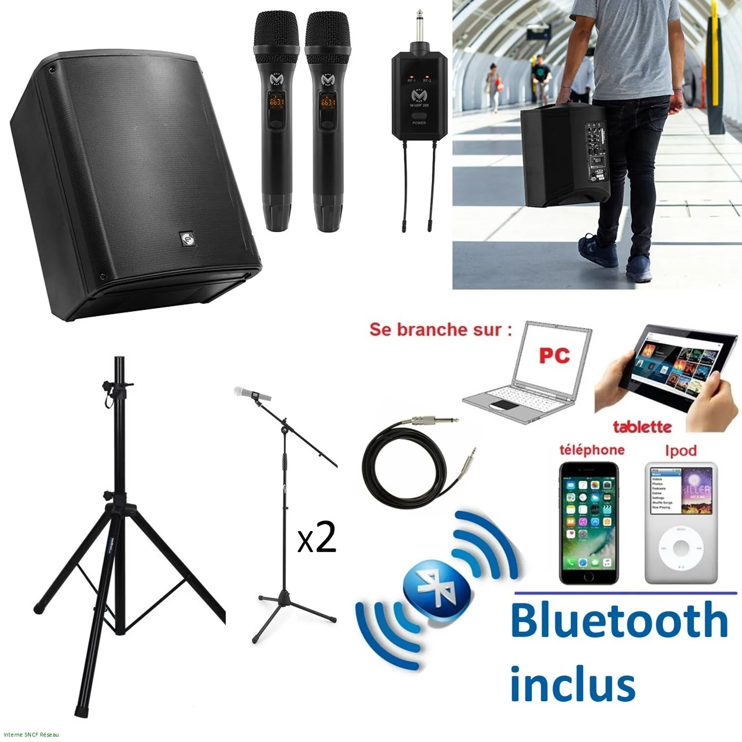 Enceinte sur batterie + 2 micros