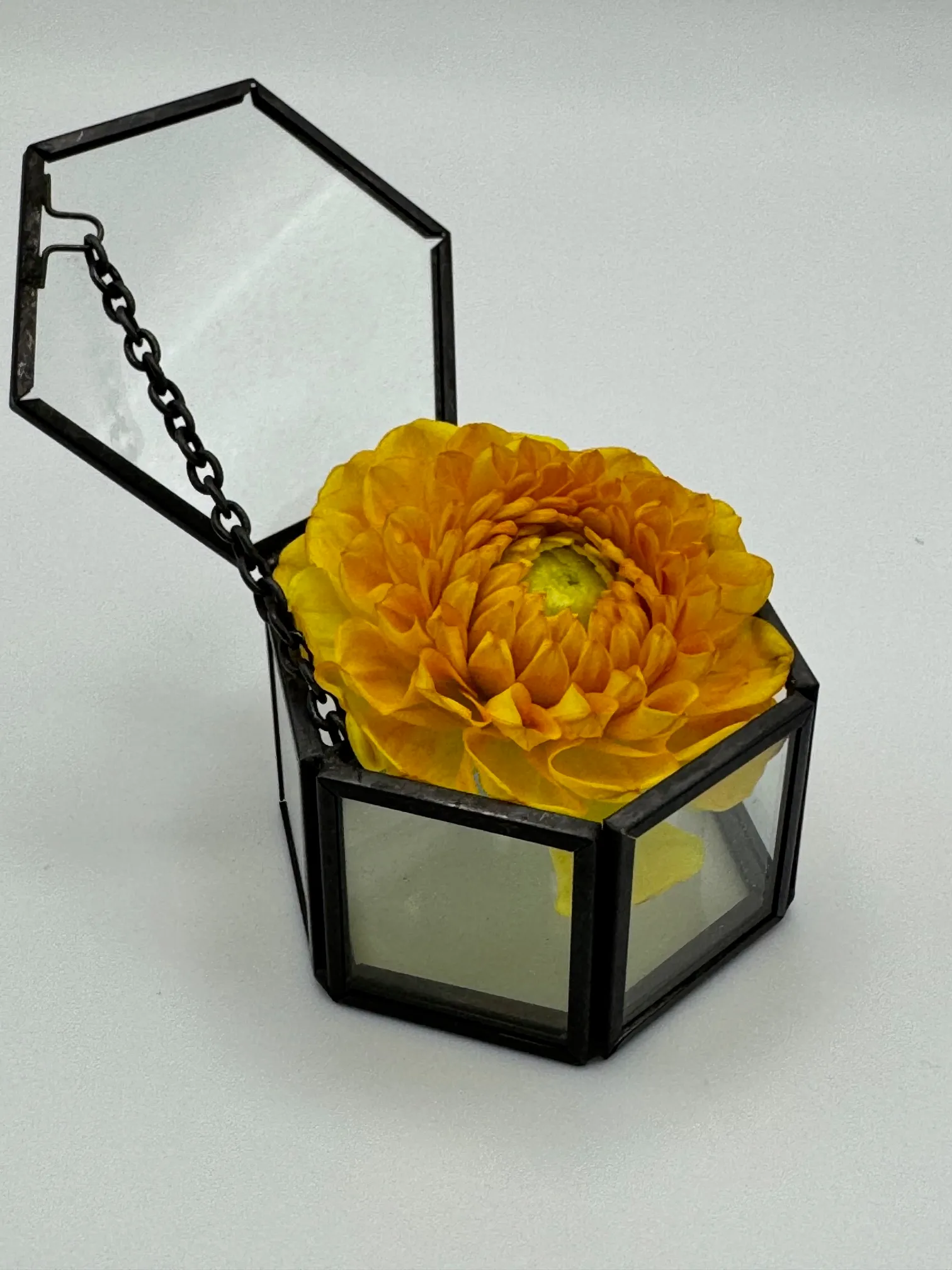 Ringkästchen Hexagon klein schwarz