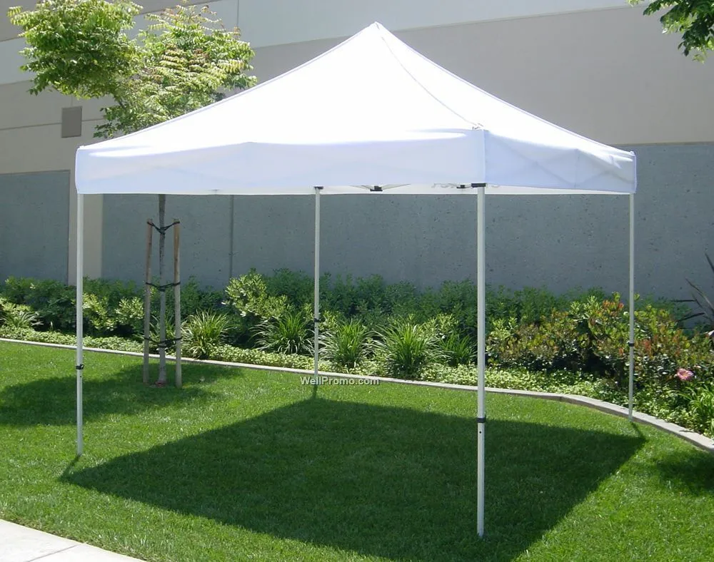 10' x 10' frame tent 