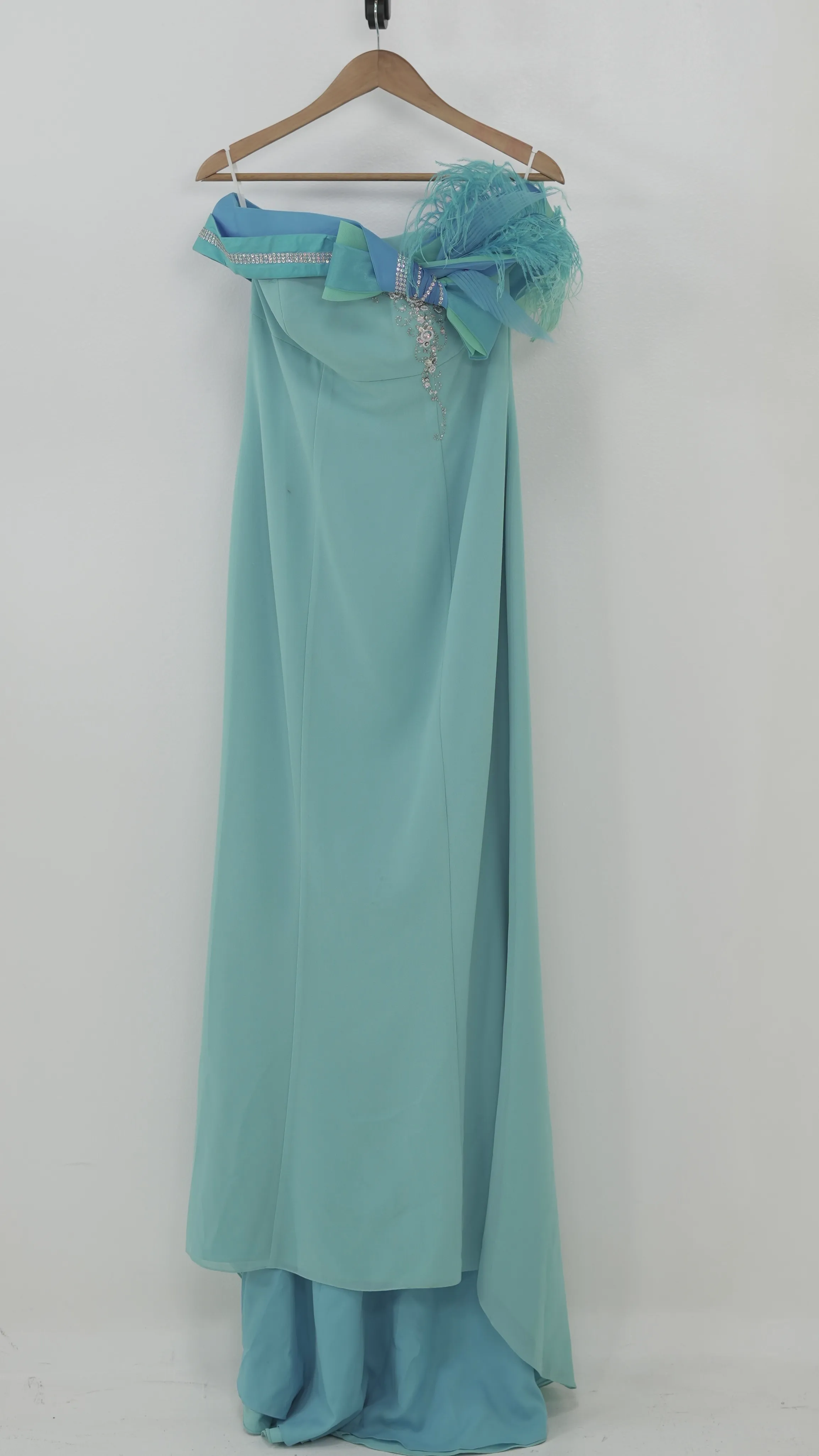 Light Blue Gown with Feather and Bow Detail