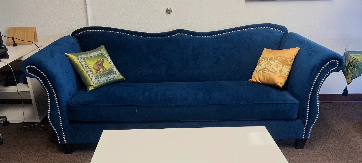 Blue Velvet Couch
