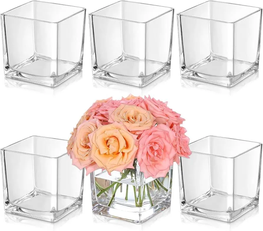 Square Glass Vase