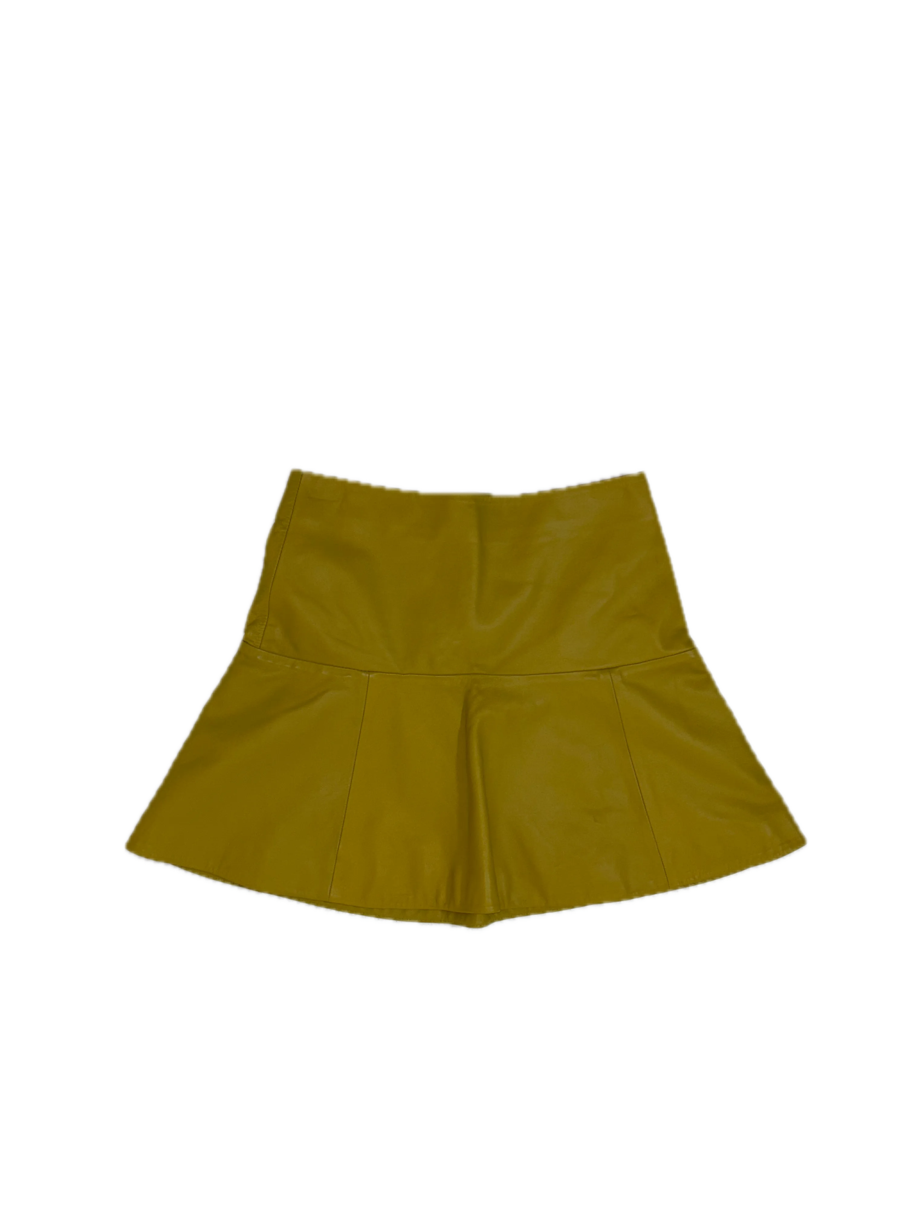 PROENZA SCHOULER skirt (2)