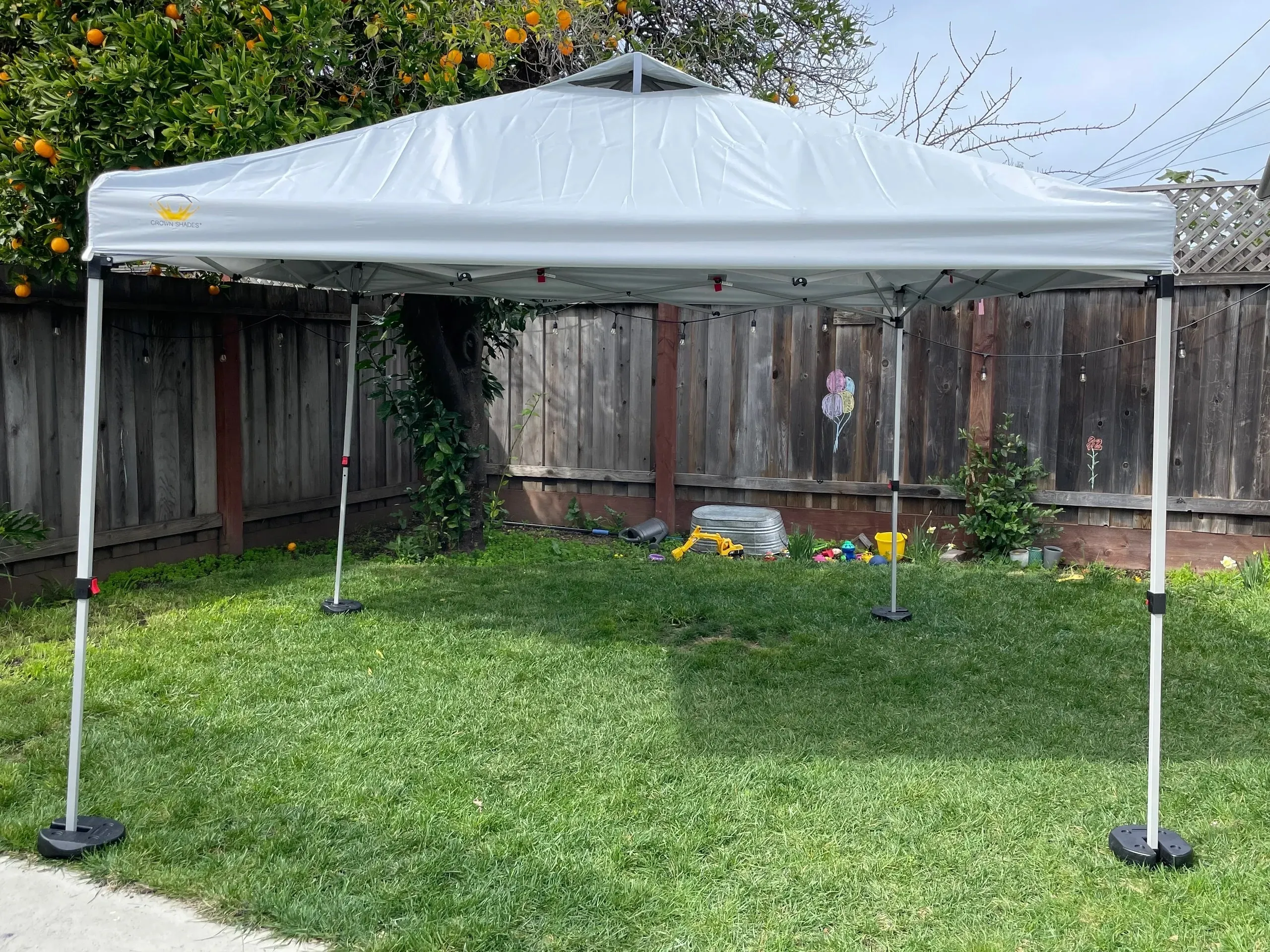 Canopy - 10 x 10 Pop-Up 