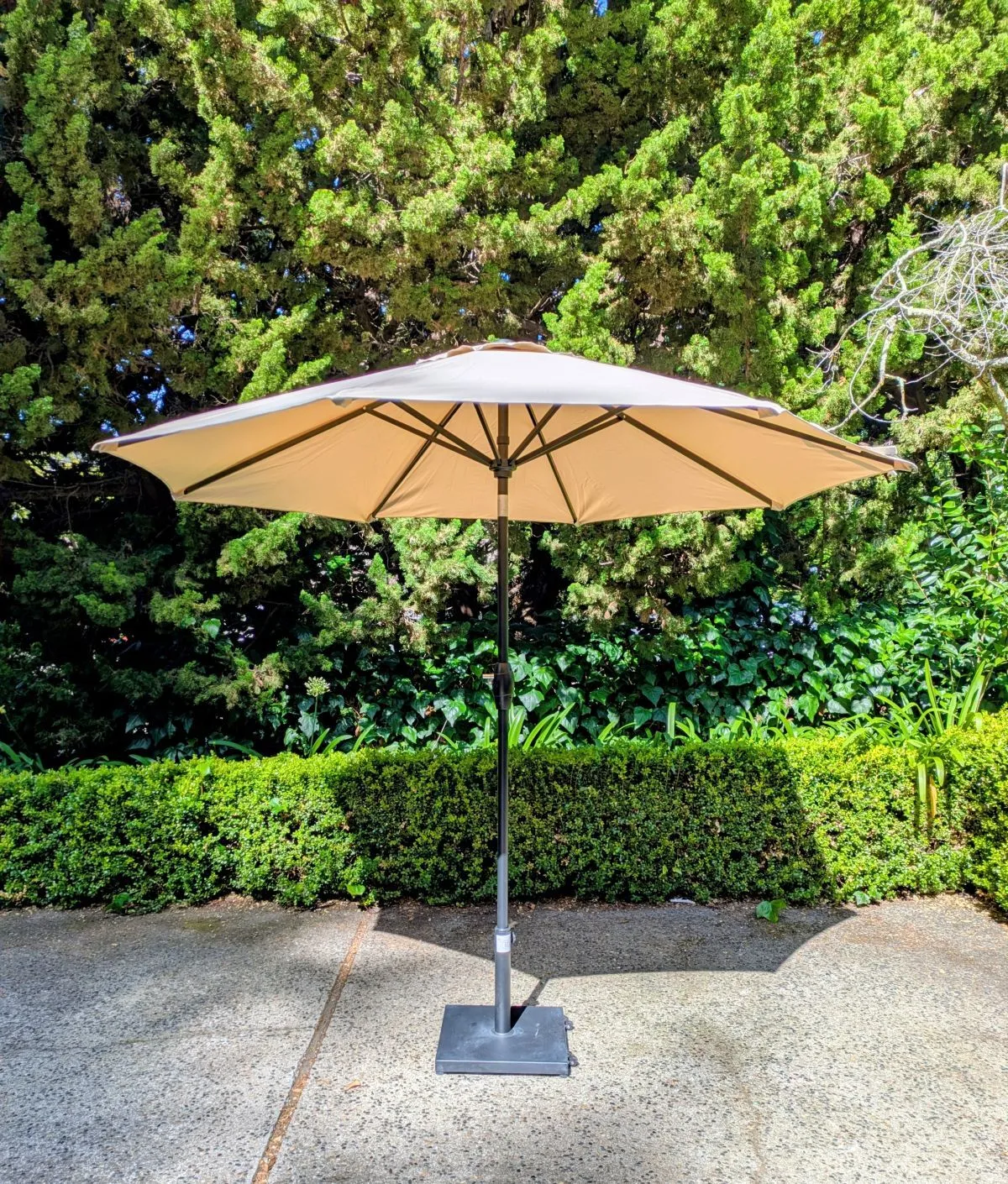 Patio Umbrella