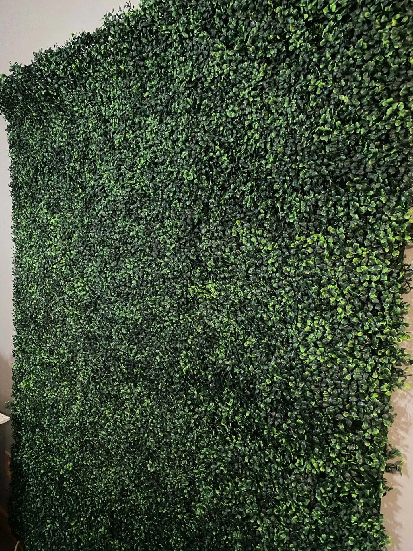 Greenery Wall
