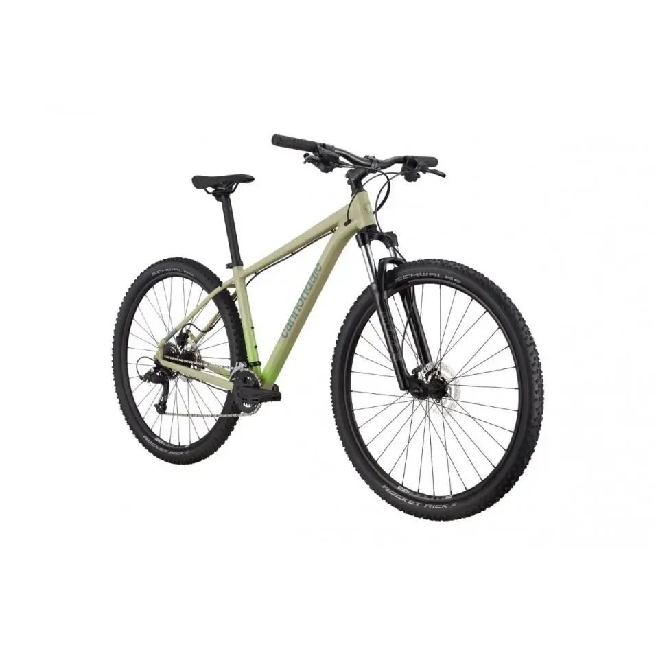 Trail and Mountain Bikes