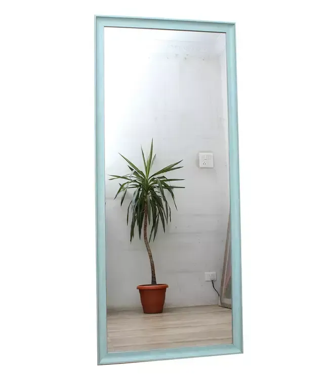 2' x 5' mirror