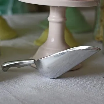 Silver Lolly Scoops