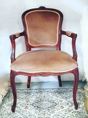 Wood Carved Frame, Tan Velvet Carvers Chair