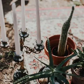 Vintage Brass Four Pronged Candelabra