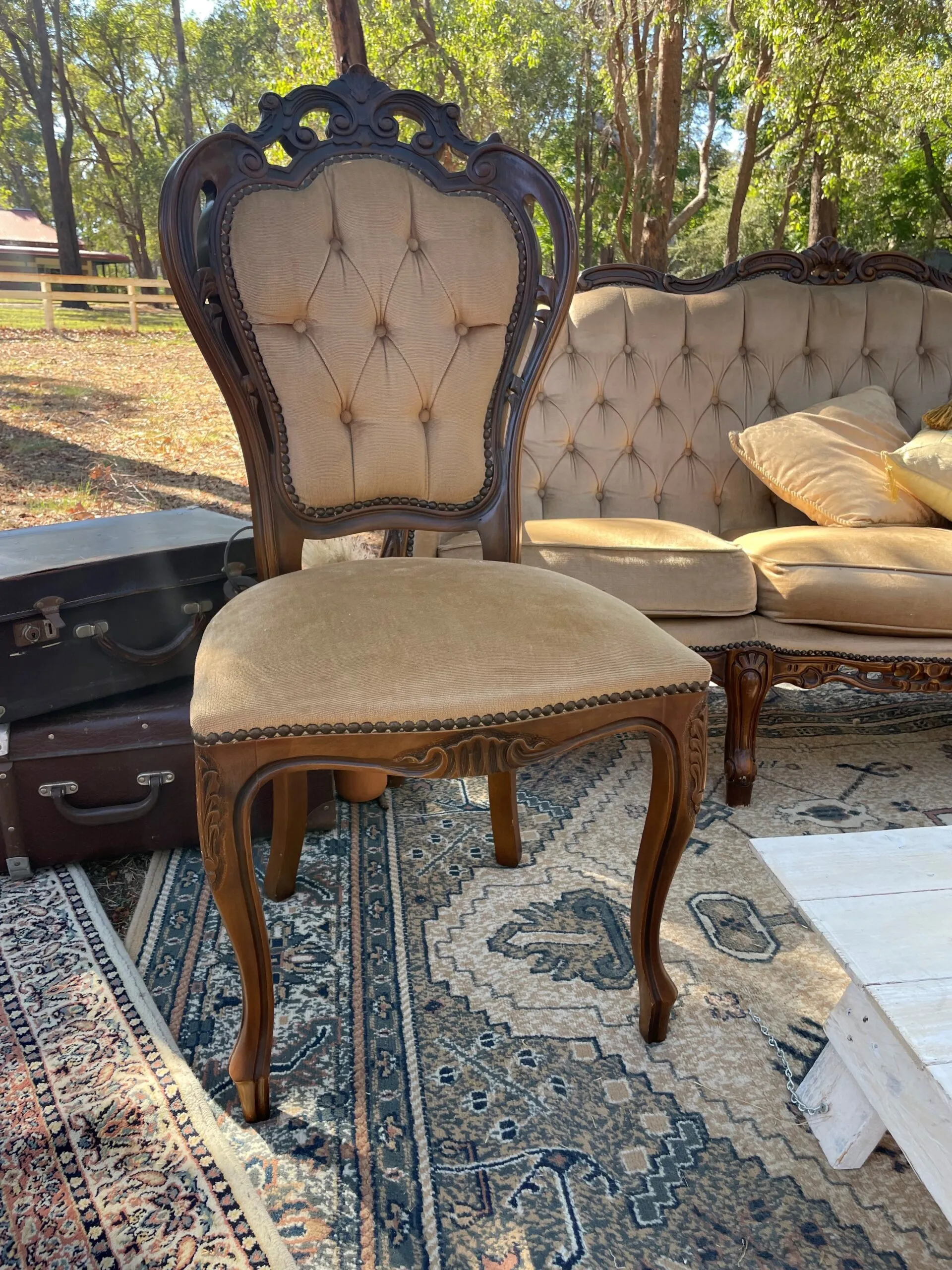 Wood Carved Frame, Champagne Velvet, Buttoned Chair