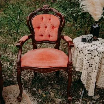 Wood Carved Frame, Pink Velvet Carvers Chair