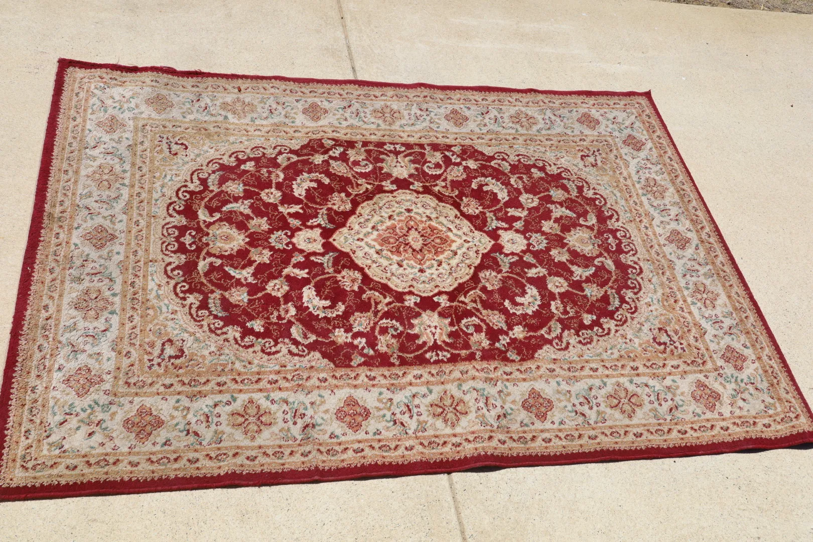 Area Rug 4