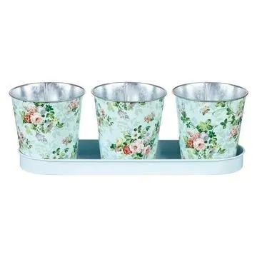 Floral Pots and Saucer