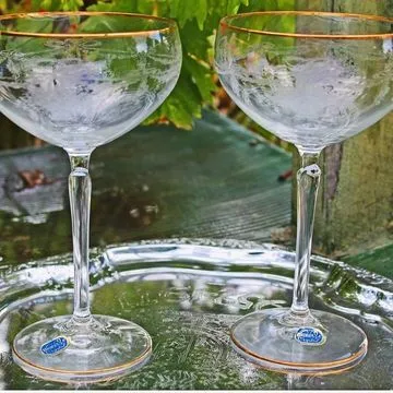 Bohemia Wedding Toast Glass