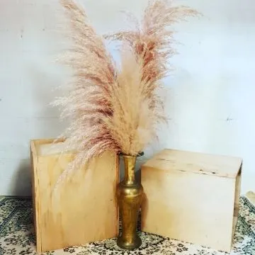 Light Pine Box Crates