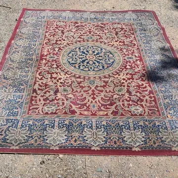 Area Rug 42