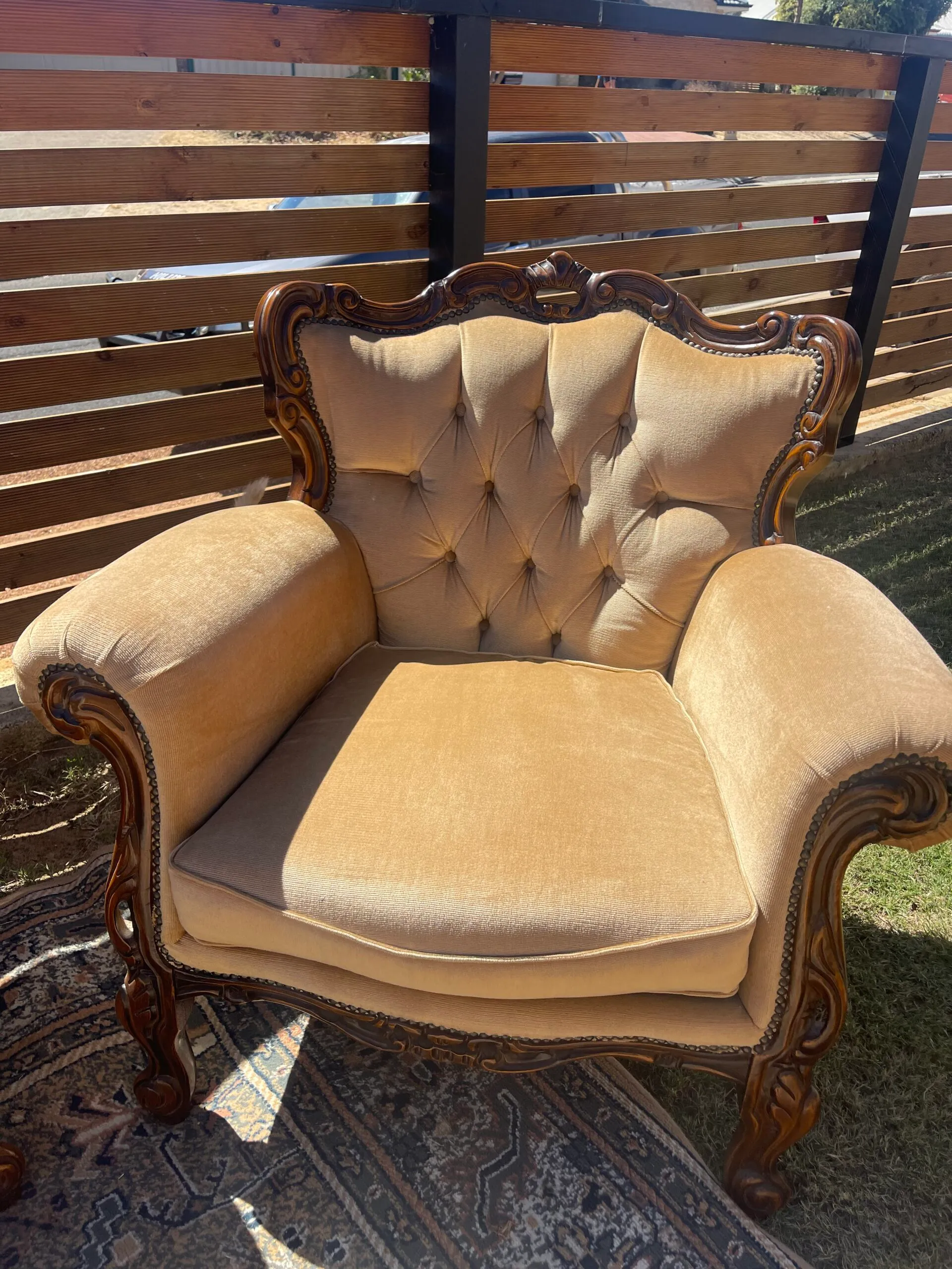 Wood Carved Frame, Champagne Velvet, Wingback Arm Chair