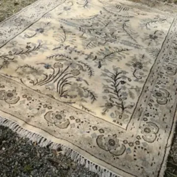 Area Rug 23