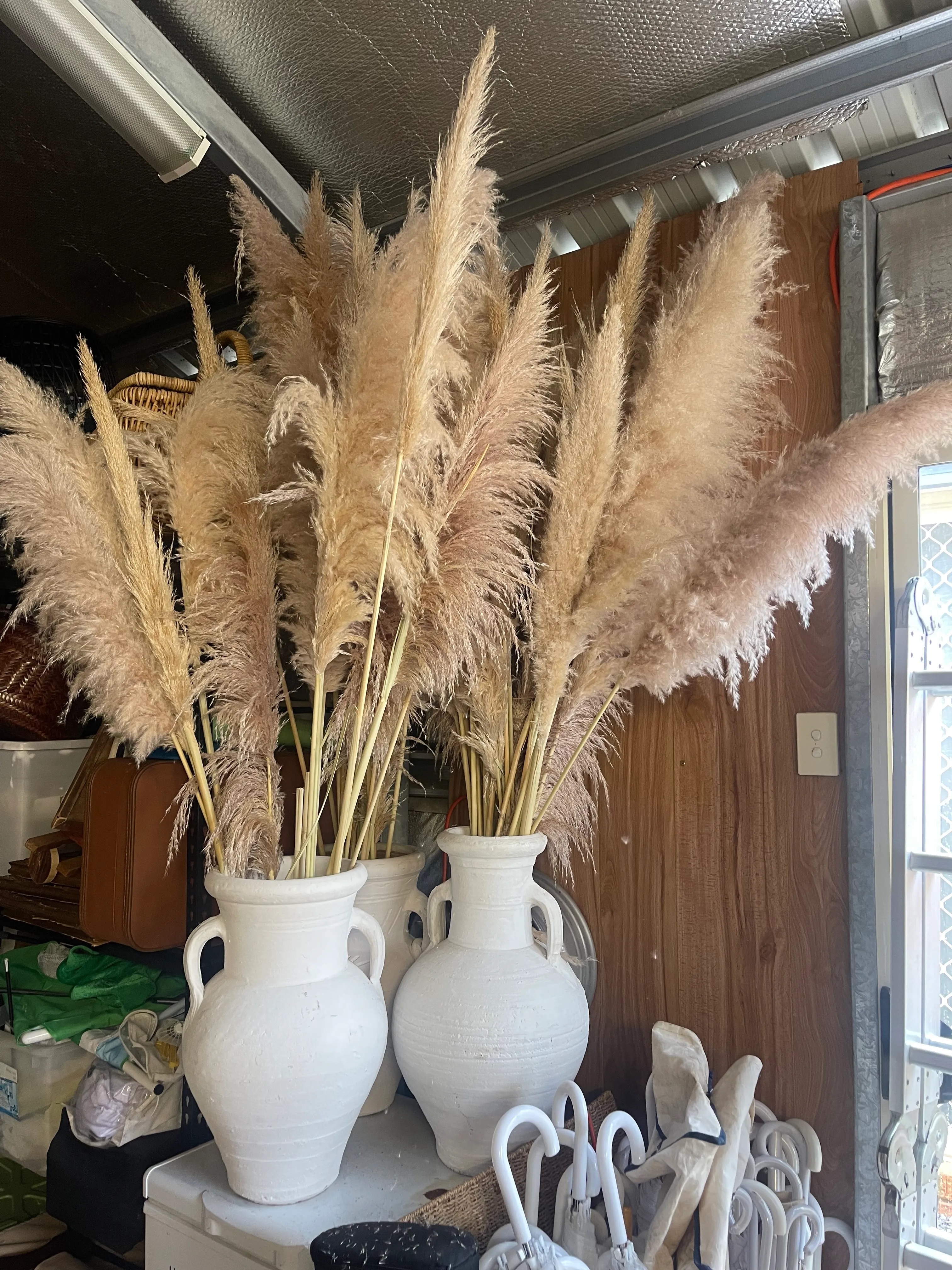 Large white urn vase filled with Pampas Grass