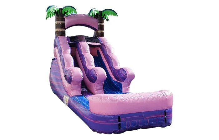 Tropical Splash Princess Slide