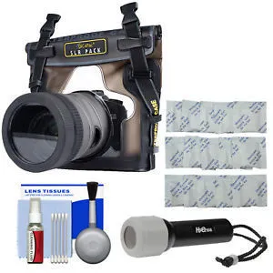 DiCAPac WP-S10 Waterproof Case