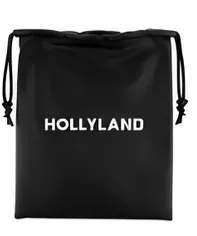 Case Hollyland Lark A1