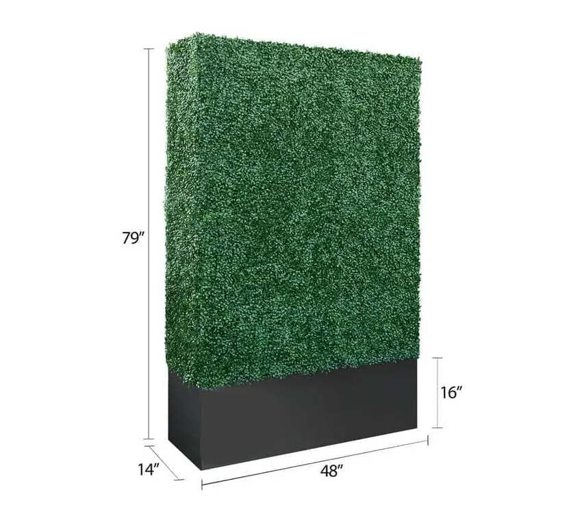 Boxwood Hedge Wall 48x79"