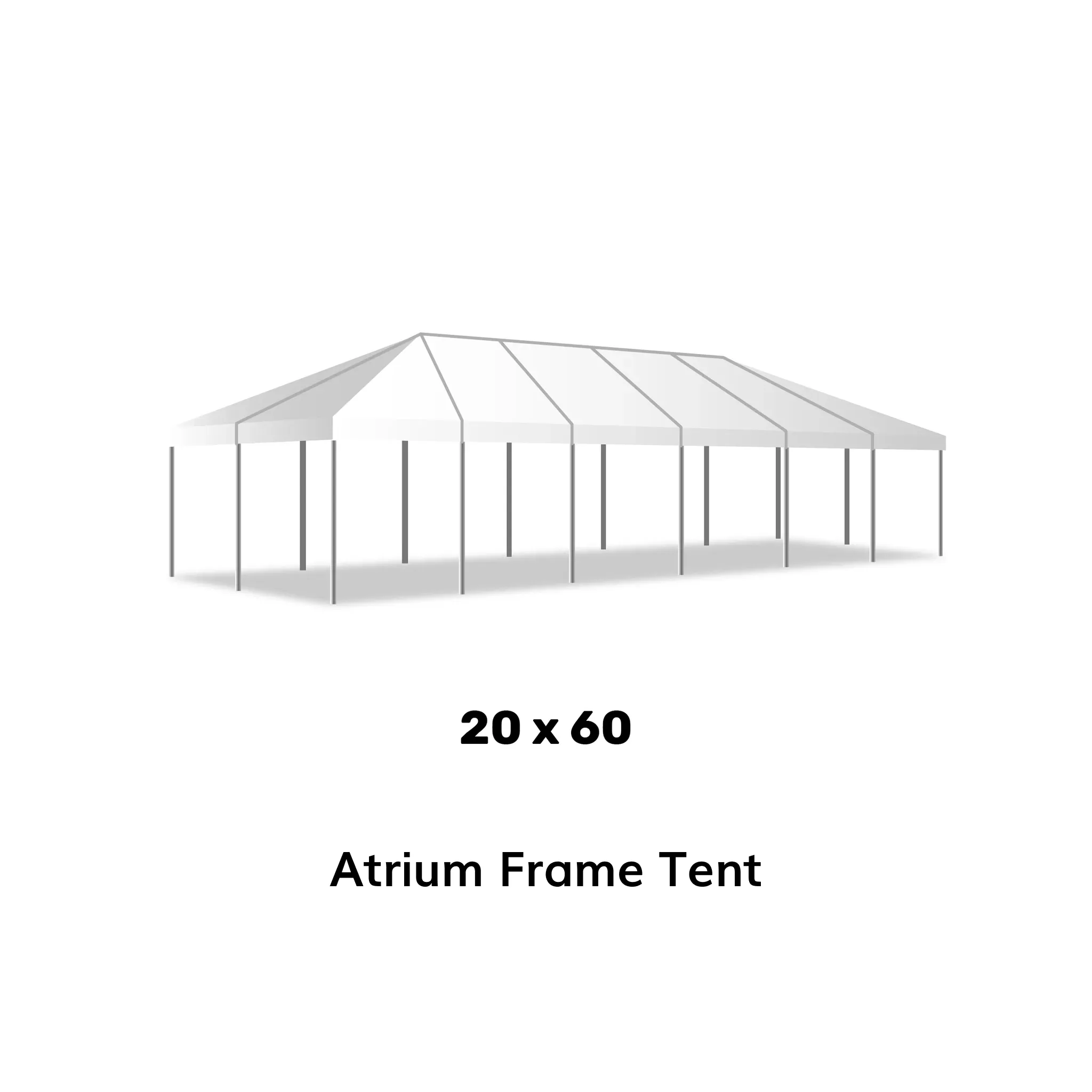20x60' Tent Frame