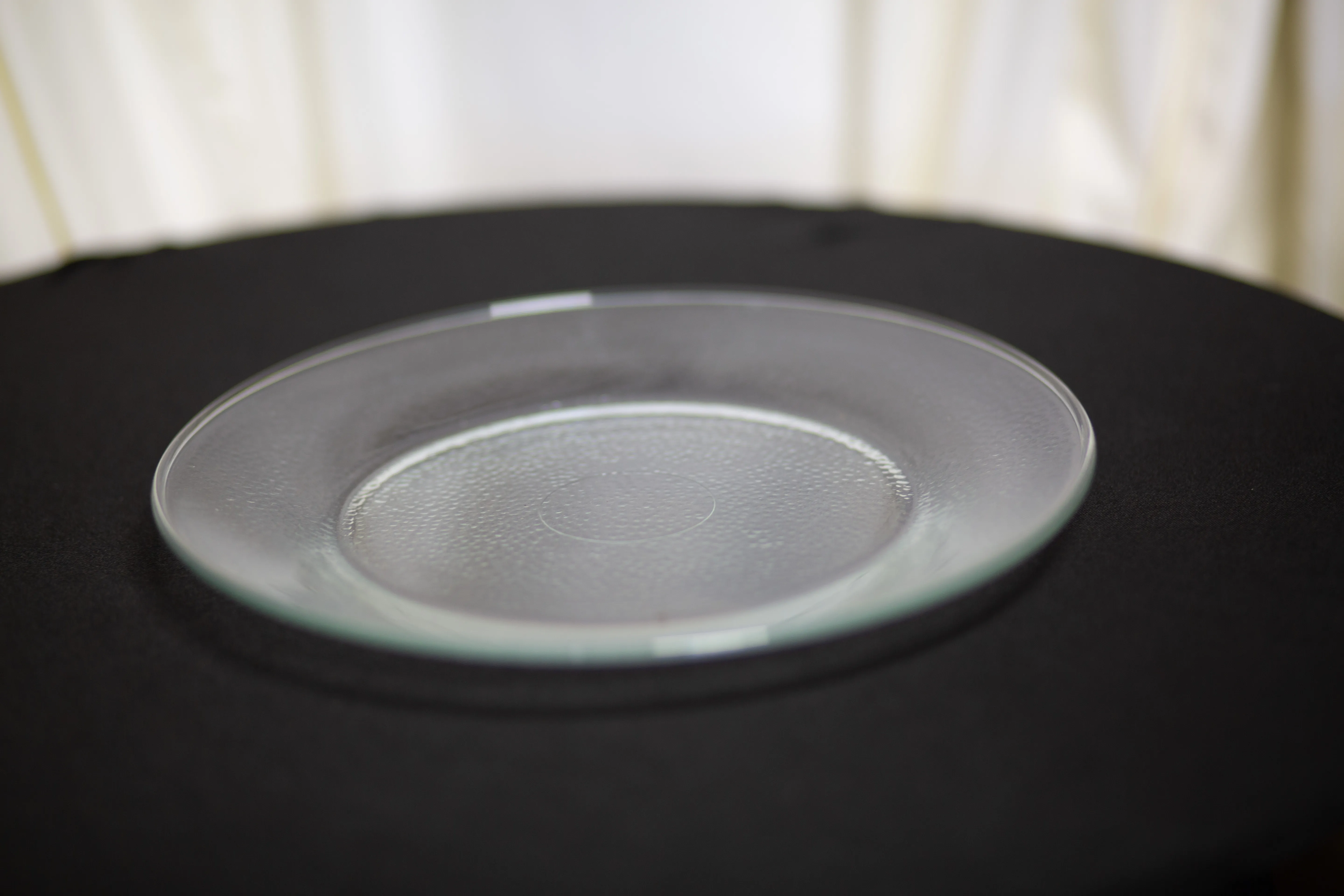 Bubble Glass Clear Dinner Plate