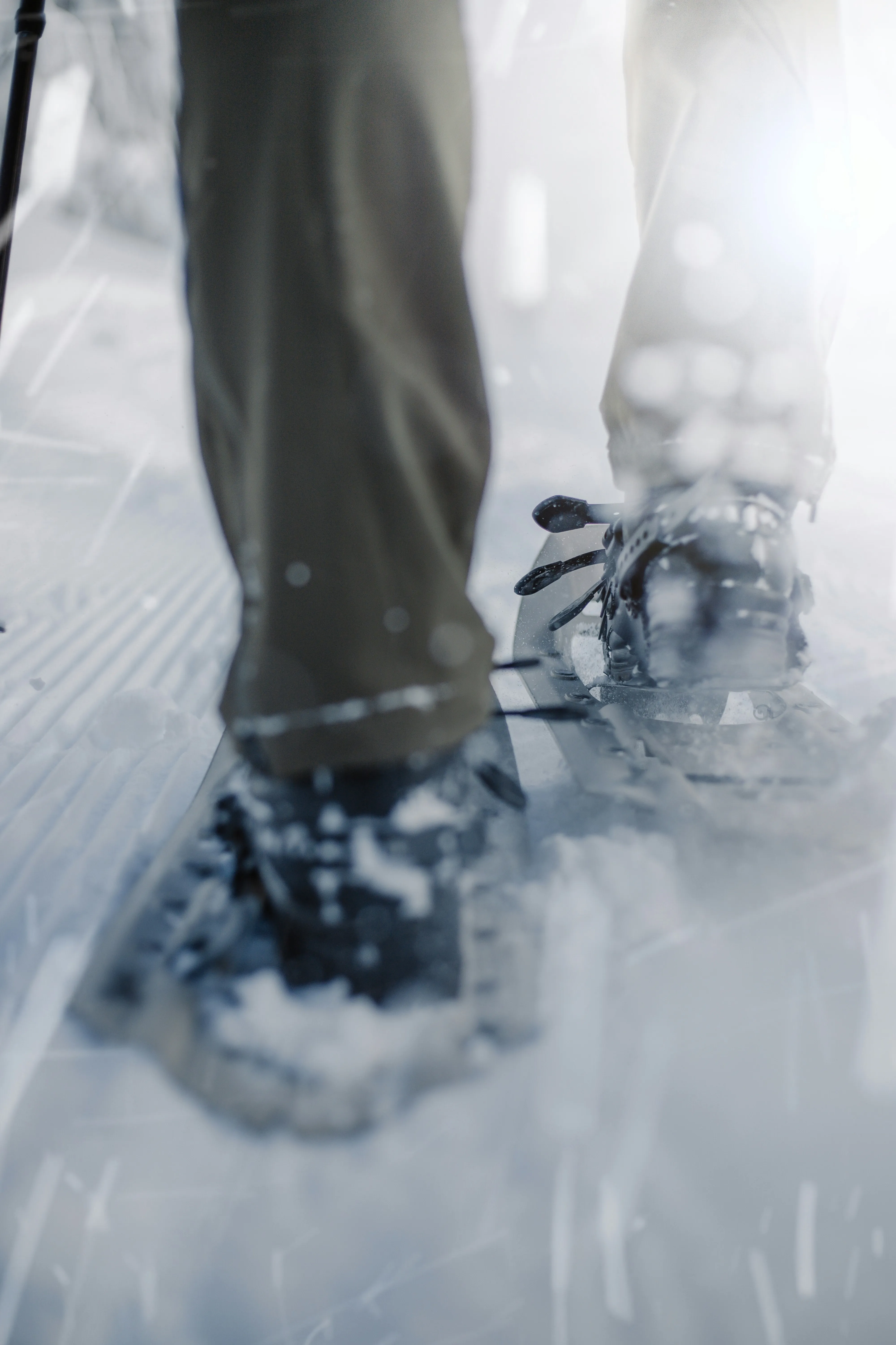 Snöskor collection image