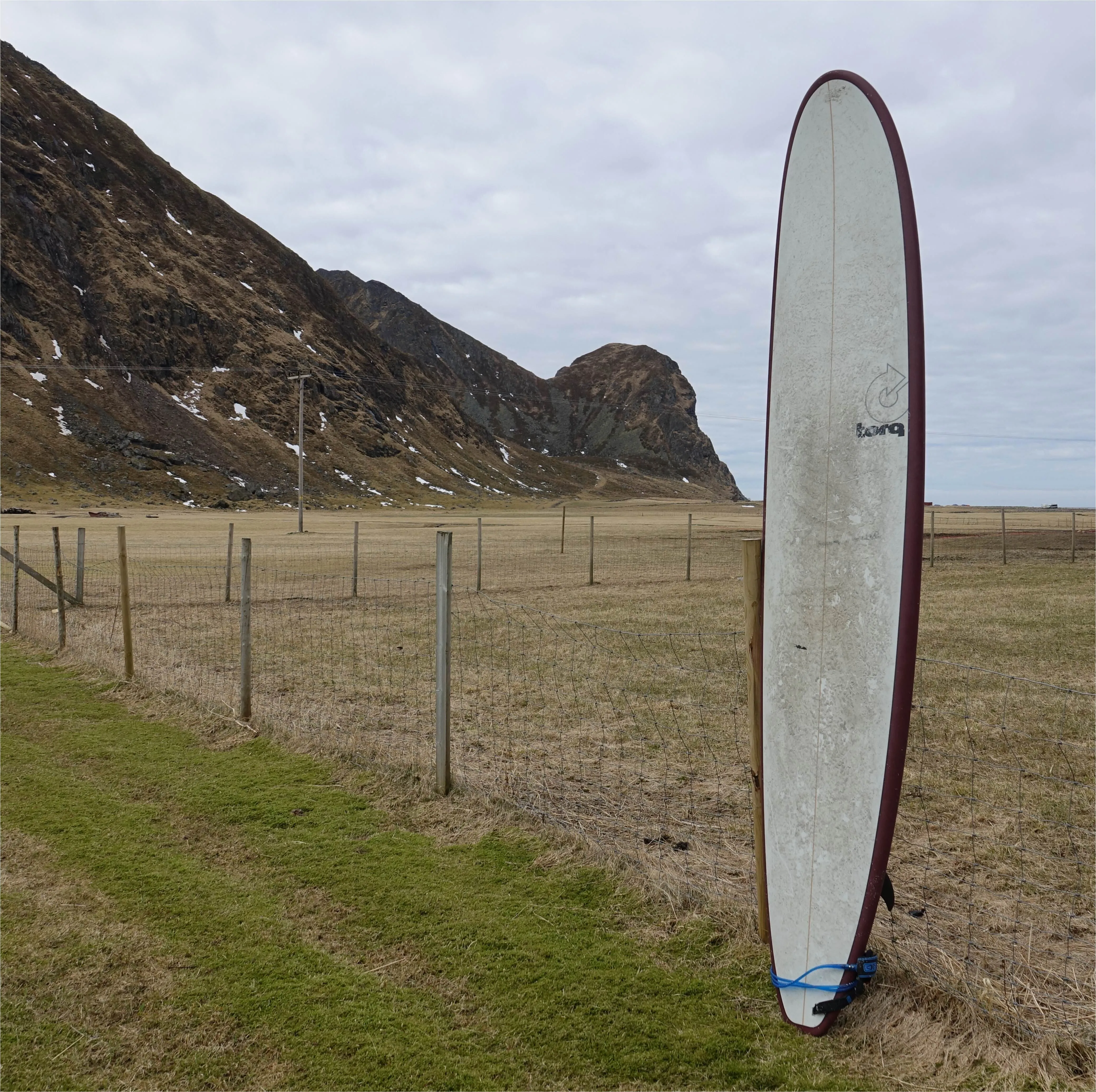 Torq Longboard